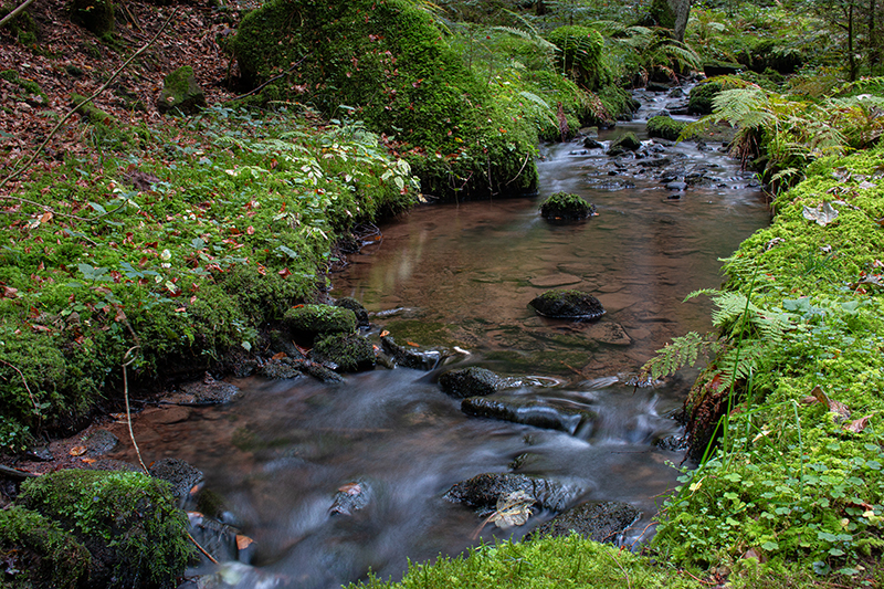 Rötelbachtal